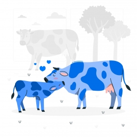 蓝色亲密的奶牛宝宝与奶牛妈妈