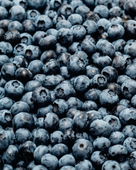 带白色的蓝莓水果