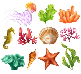 逼真水下生物场景-水母贝壳藻类珊瑚海星海藻矢量图