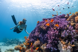身穿潜水服到海底珊瑚礁探秘的女运动员
