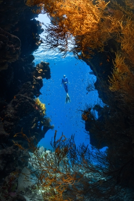 蓝色深海摄影师探秘图
