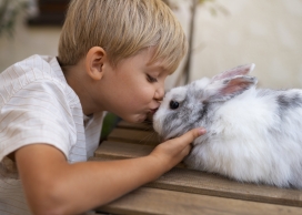 与灰白兔子玩耍的小朋友