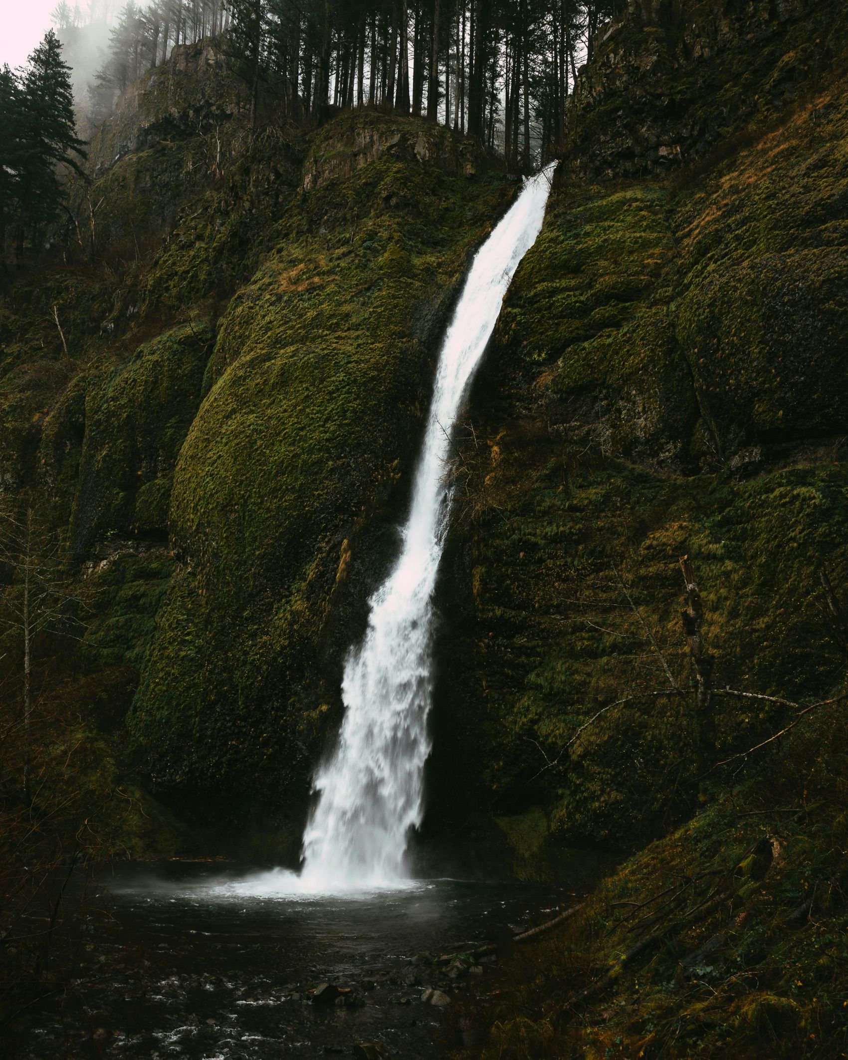 森林中的小瀑布图片