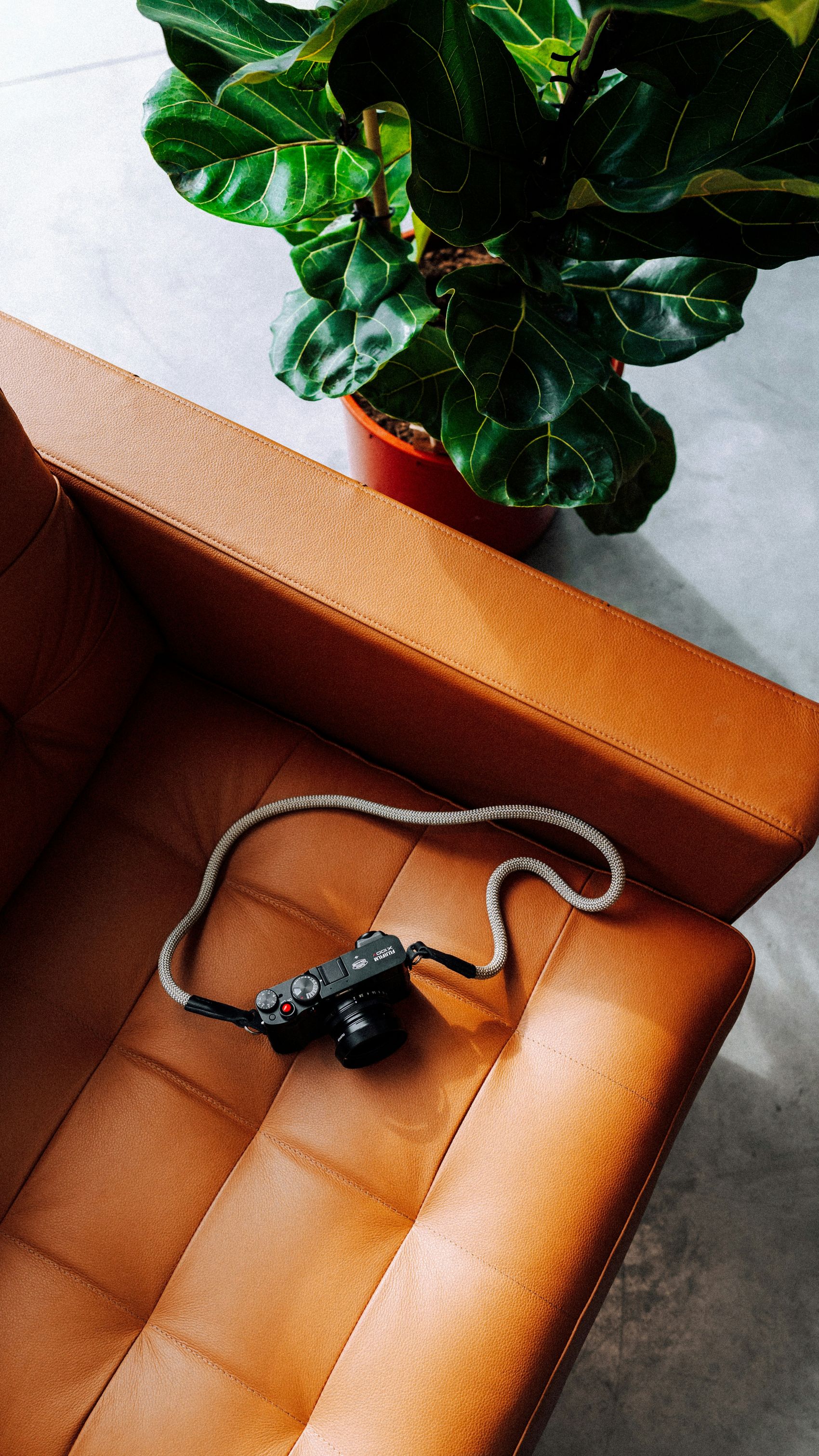 橘黄色沙发上的数码相机图片