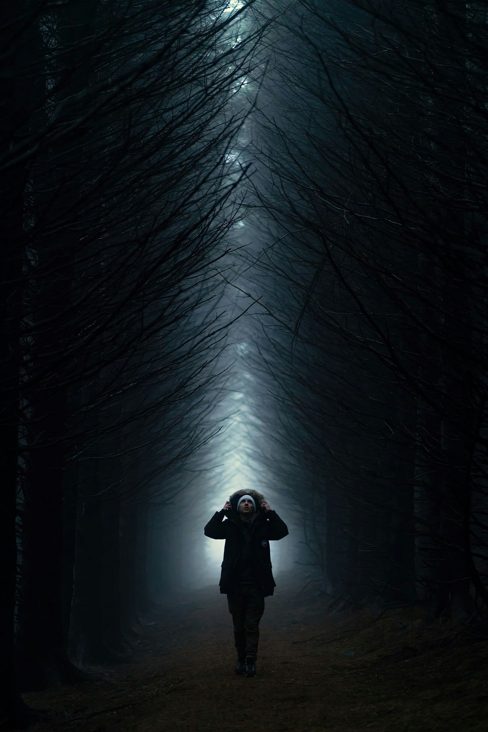 森林交叉树下的行者图片