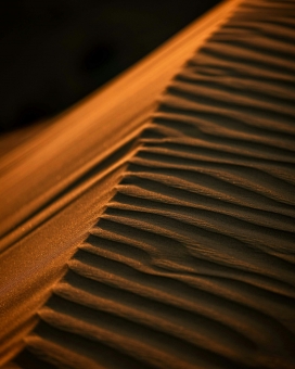 金色波浪纹脊背图