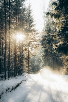 行驶在冬季阳光下的树林马路汽车