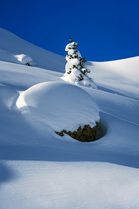 蓝天冬季雪景图