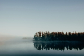 雾气中的森林孤岛