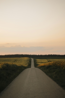 下沉式公路风景图