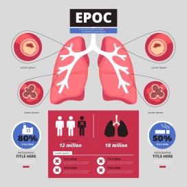 人体心肺呼吸系统医学解剖信息图