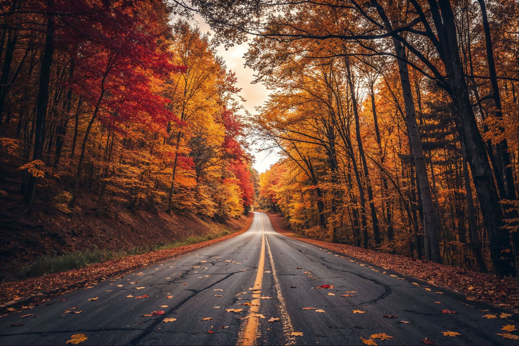 唯美秋季双黄线公路图片