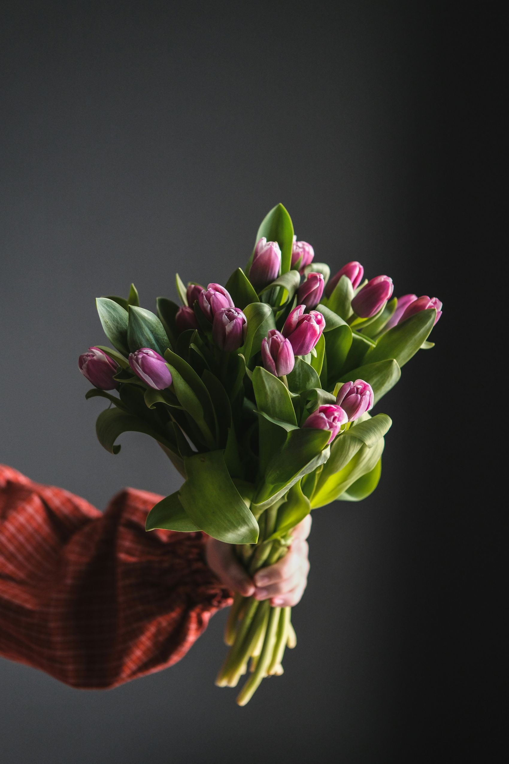 手握郁金香花的女人图片