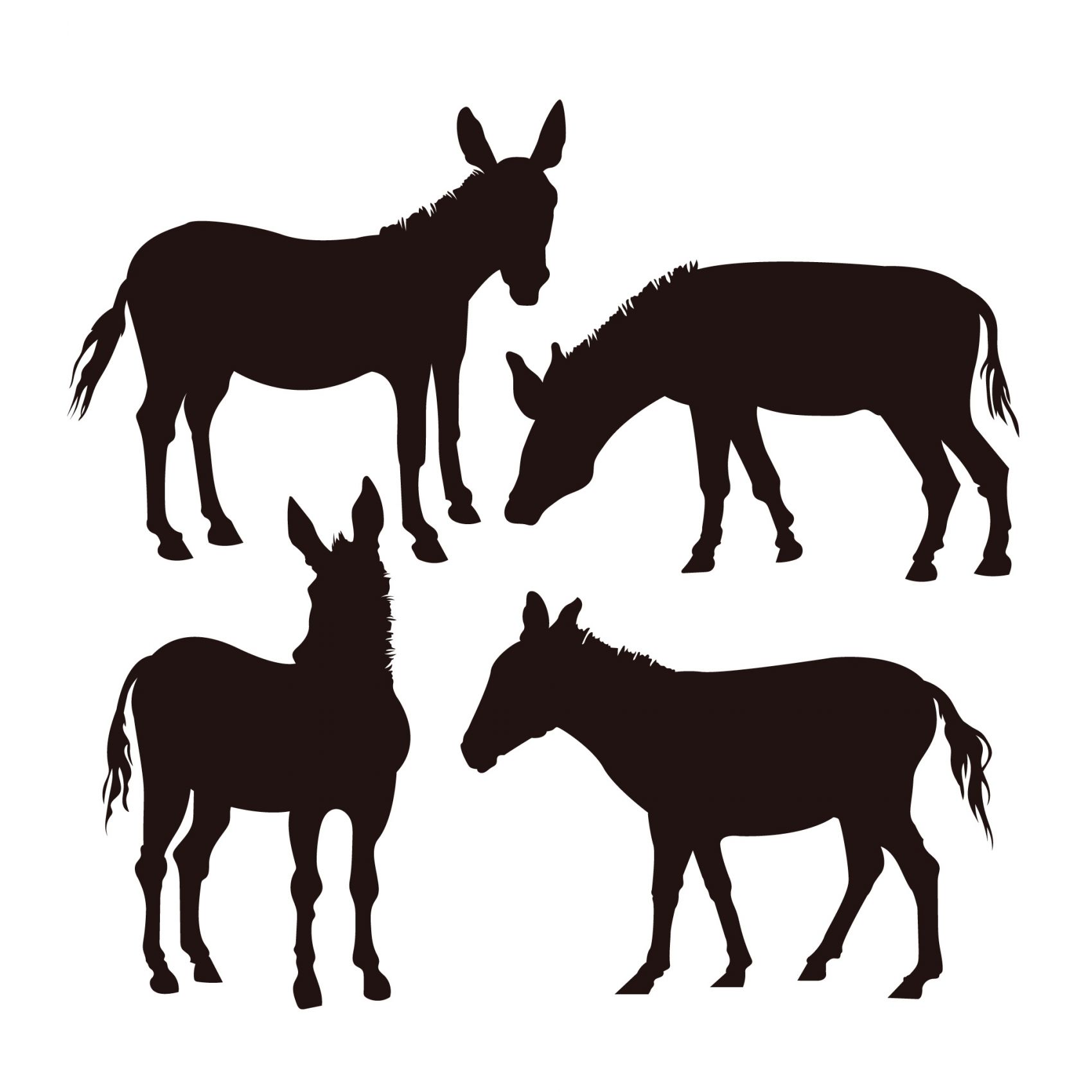四款驴动物黑白剪影素材图片