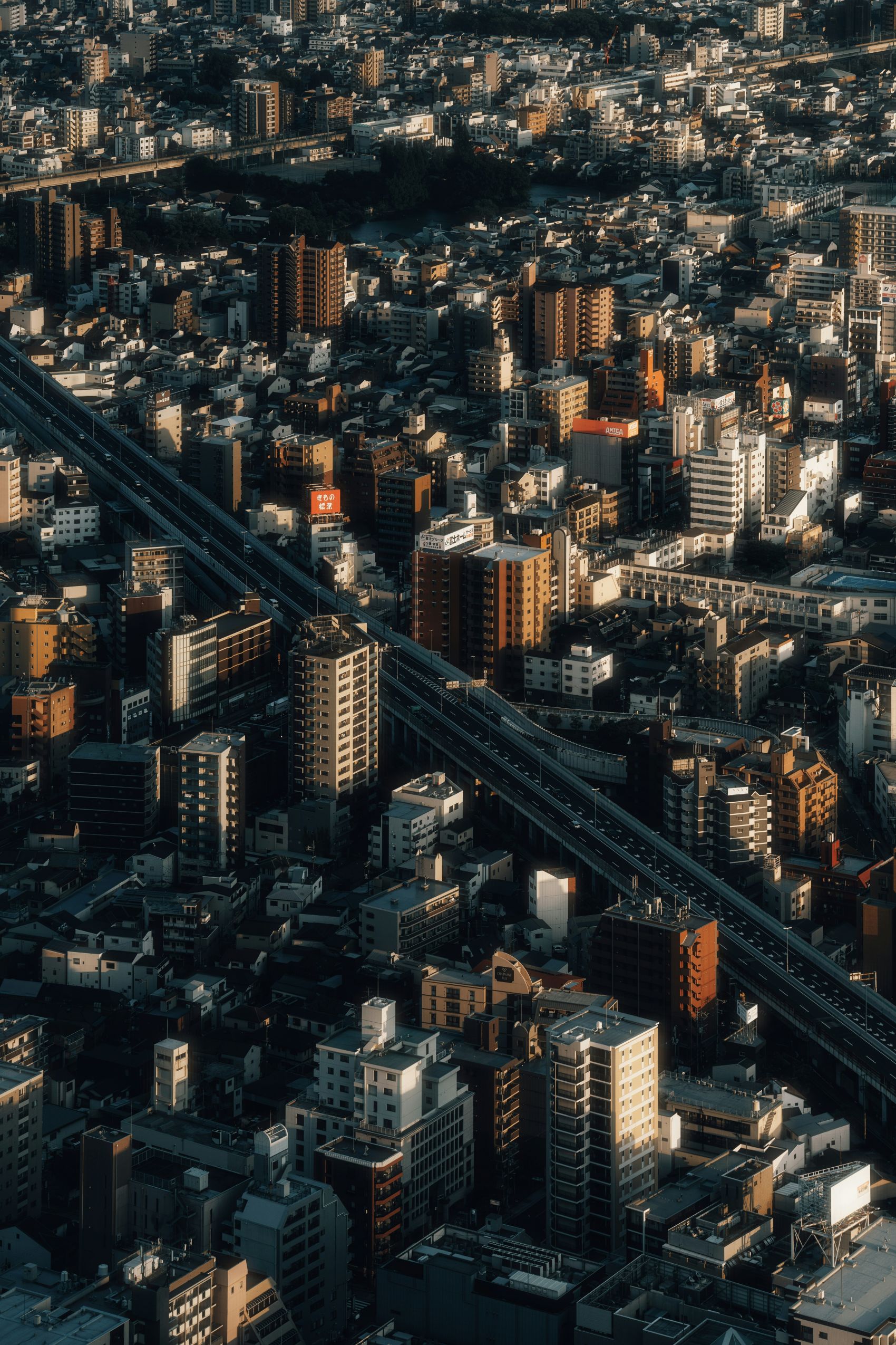 美国城市建筑图图片