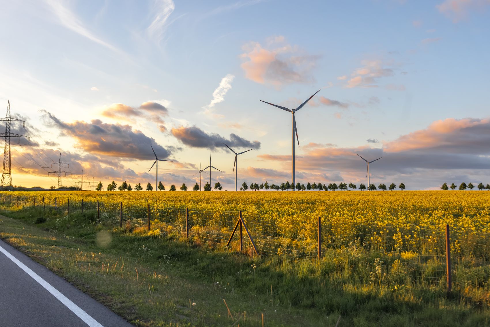 风电花海日落生态景观图片