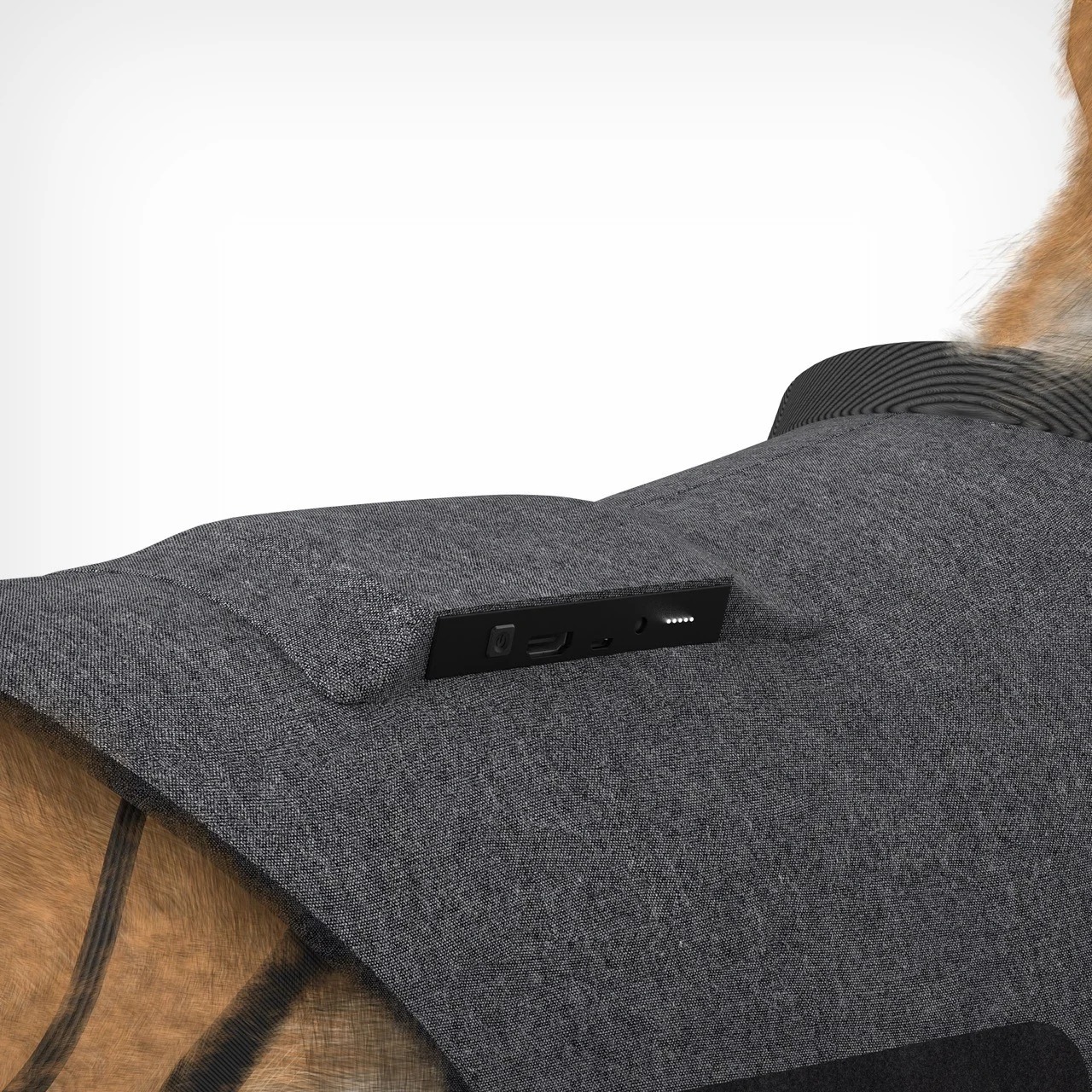 可以帮助受伤狗按照自己方式重新学习运动的智能宠物外骨骼---酷图编号4