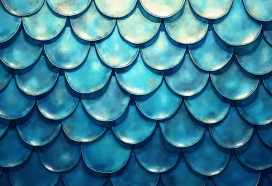 蓝色蛇皮鱼鳞图