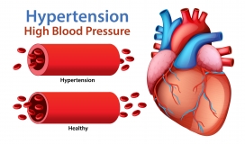 卡通心脏器官素材