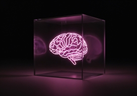 装在透明玻璃种的大脑