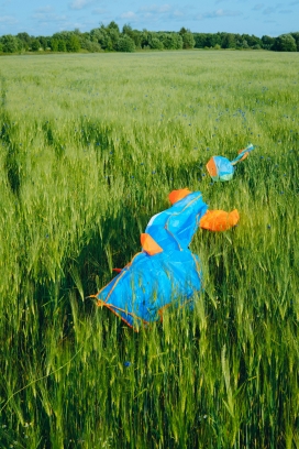 麦田里的风筝童趣场景