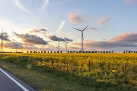 风电花海日落生态景观