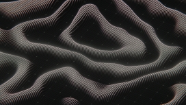 黑白线条构成的动态波浪图案