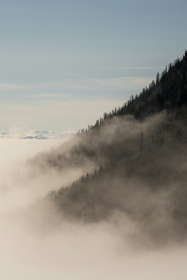 云雾缭绕的山林美景