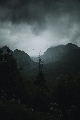 乌云笼罩下的山林与飞鸟