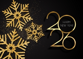 2026 黑金雪花新年主题视觉设计