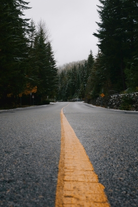 林间公路雾雪景致自然风情特写