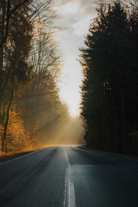 林间公路晨雾光影：暖调光束与森道曲线的秋日秘境风光摄影
