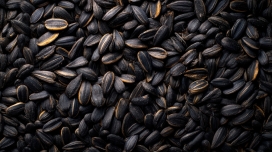 带壳葵花籽特写 - 坚果食材摄影图