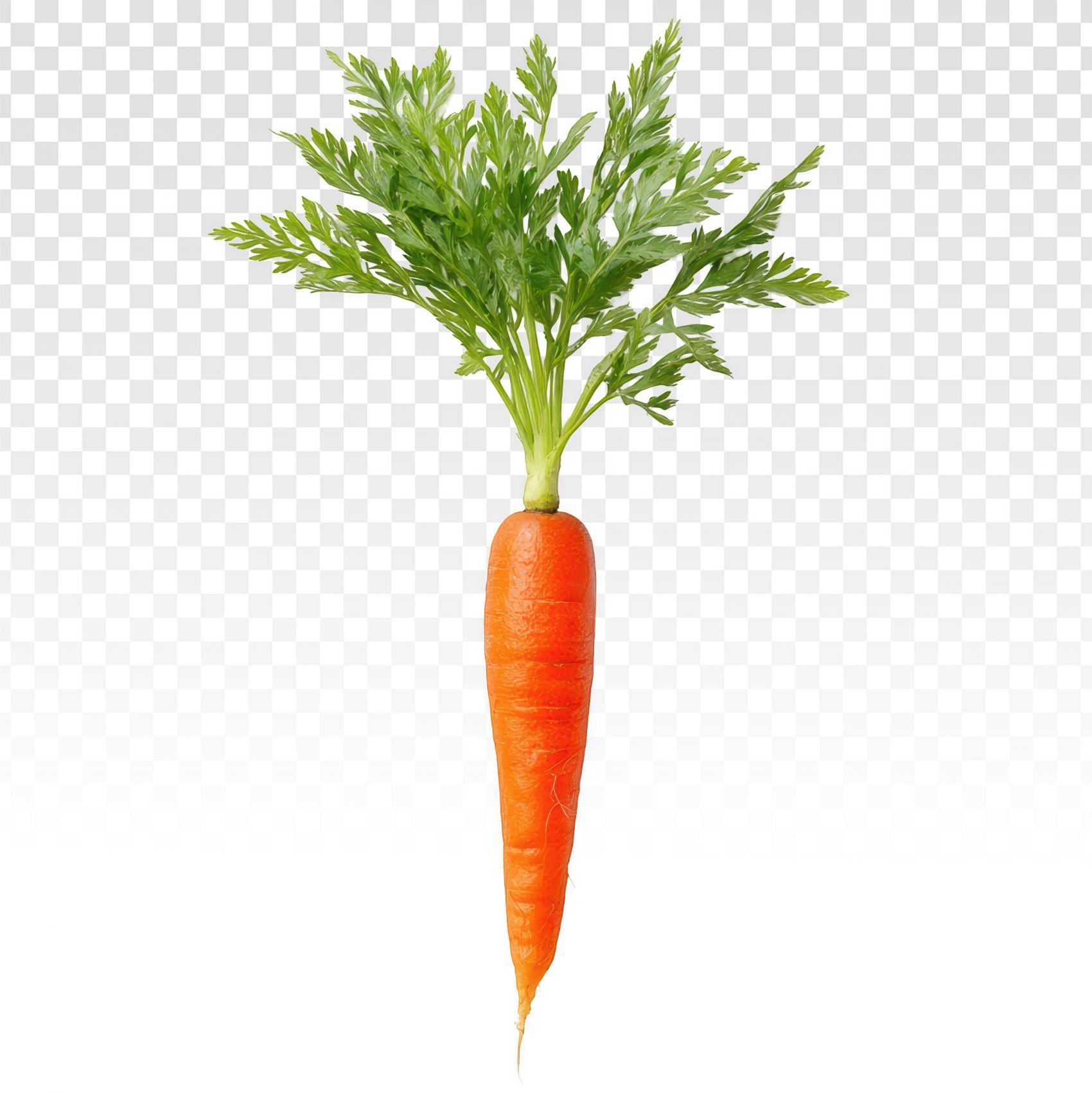 鲜脆胡萝卜 免抠食材设计素材图片