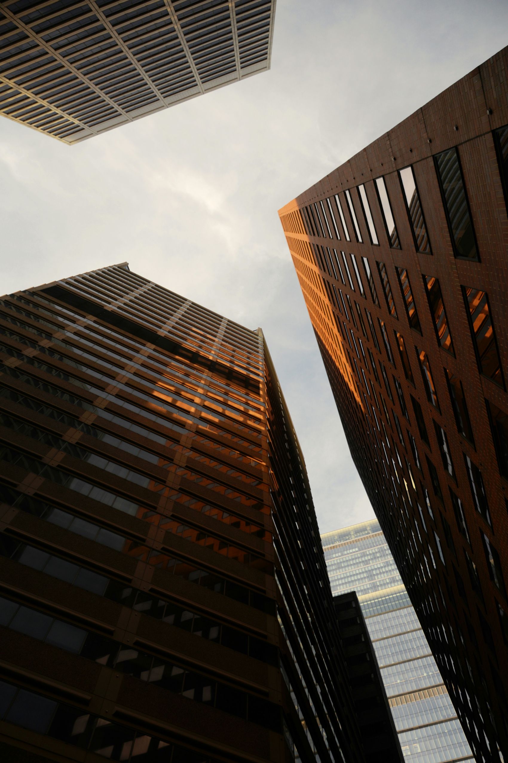 仰拍视角下的现代摩天大楼城市风光摄影图片