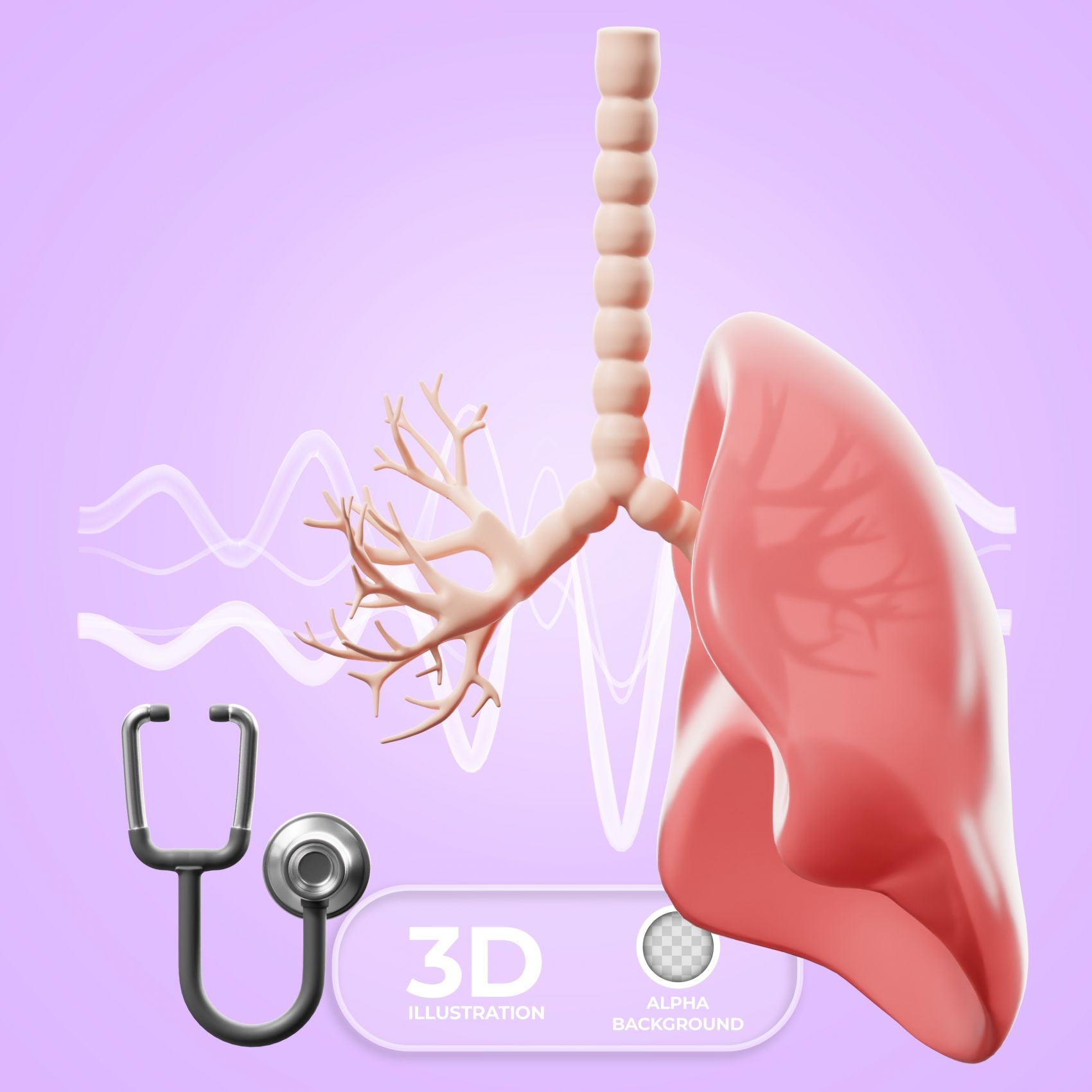 3D 肺部解剖医学示意图图片