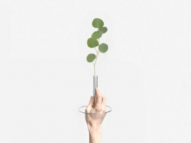 莲花效应花瓶-让花茎像水上叶子一样在边缘飘动