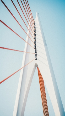 低角度仰拍的斜拉桥塔：极简几何与色彩的建筑摄影
