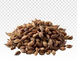 干制香料颗粒素材：棕褐纹理的植物种子透明底摄影