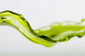 液态光泽 - 橄榄油的动态视觉呈现