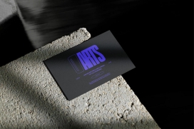 Darts Art Gallery - Brand Design-达特美术馆品牌设计