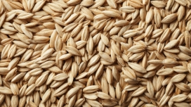 金黄麦粒纹理 - 天然谷物微距摄影图片