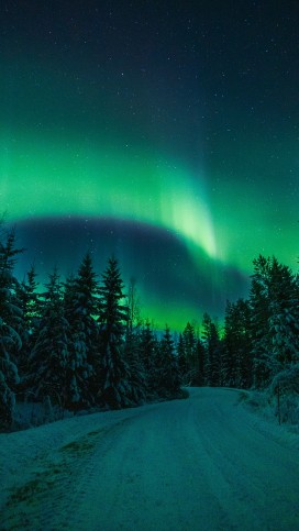 雪林公路邂逅极光 青绿光幕铺满漫天星空