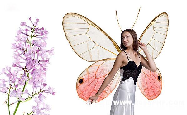 韩国趣味商务图片欣赏---酷图编号37