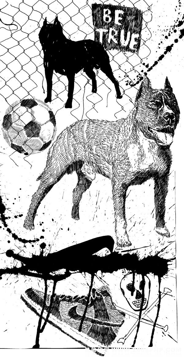 关于NIKE的精彩设计欣赏---酷图编号18