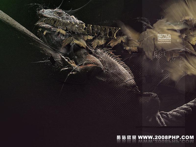 德国dopaminart精彩插画欣赏---酷图编号2