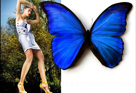 国外摄影作品欣赏---酷图编号4