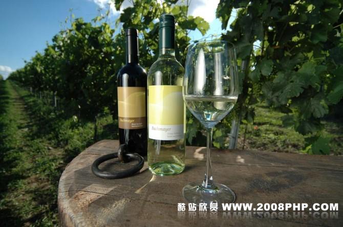 Bauer酒包装和瓶贴设计---酷图编号9