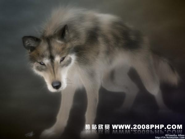 Amadhi动物系列---酷图编号3