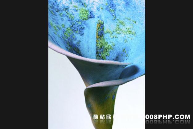 gudnason时尚人物美女摄影欣赏---酷图编号25